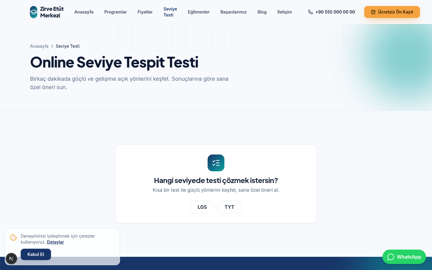 seviye testi